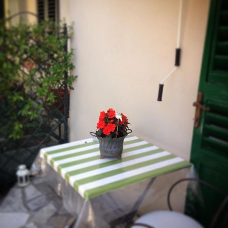 Bed and Breakfast Terrazza Ginori Сесто-Фьорентино Номер фото